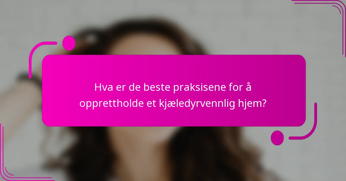 Hva er de beste praksisene for å opprettholde et kjæledyrvennlig hjem?