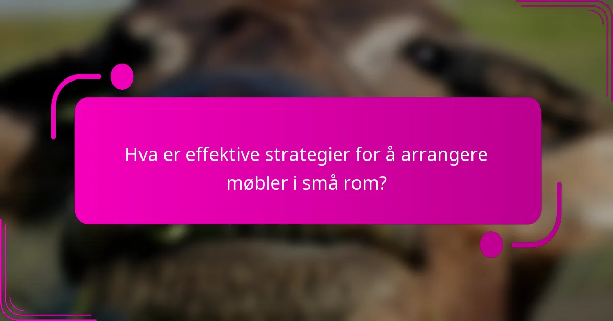 Hva er effektive strategier for å arrangere møbler i små rom?